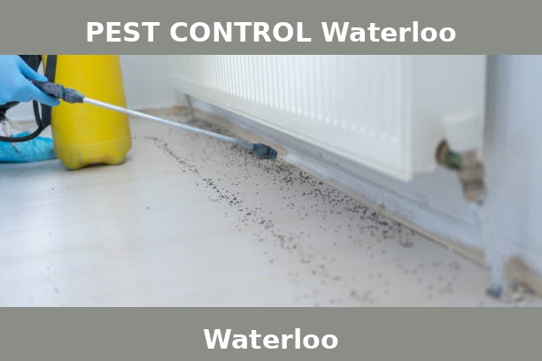 PEST CONTROL Waterloo